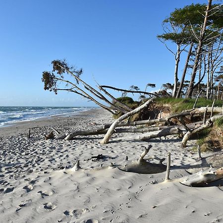 Strandhafer An Der Seebruecke Zingst Eksteriør bilde