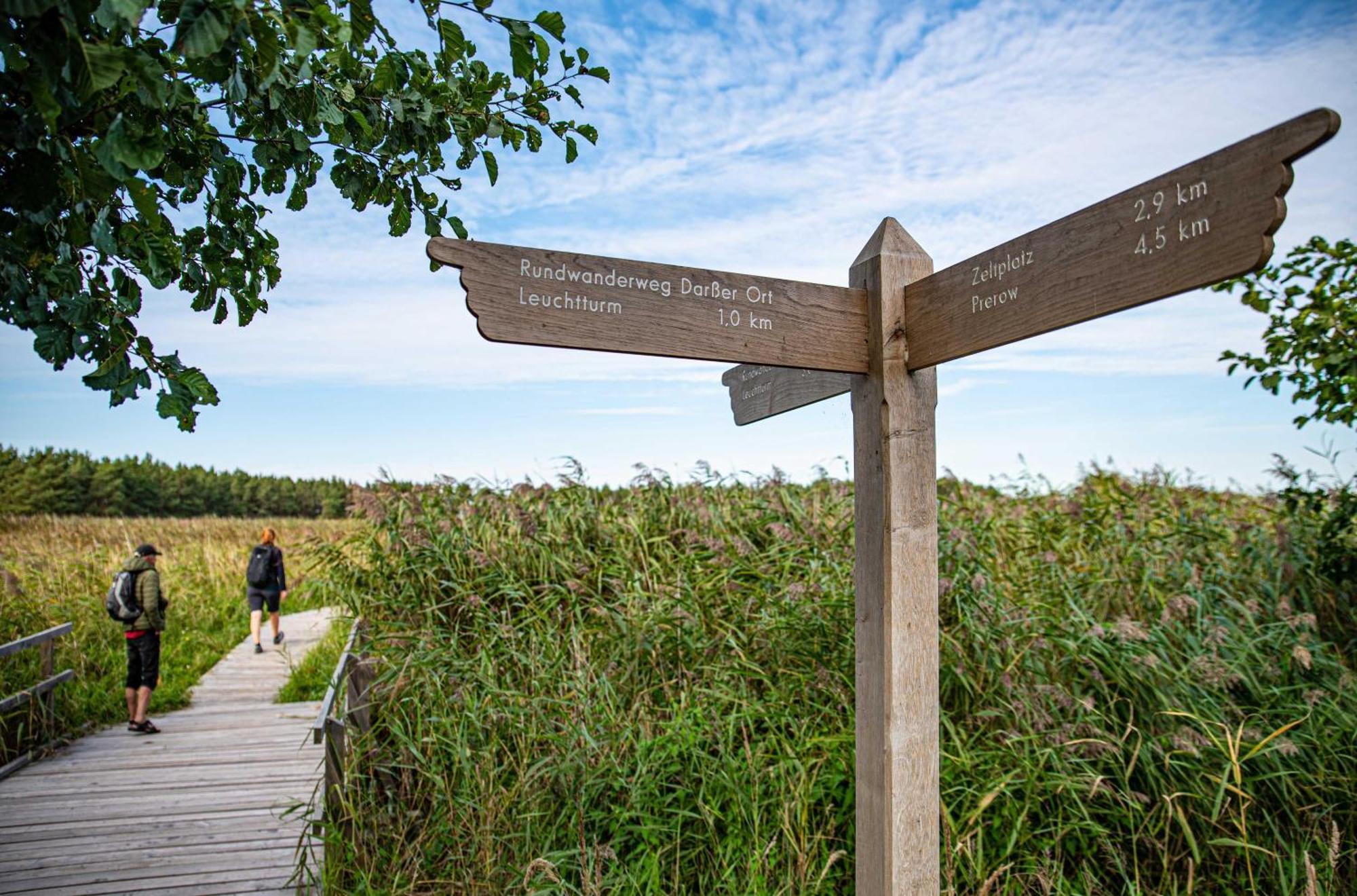 Strandhafer An Der Seebruecke Zingst Eksteriør bilde