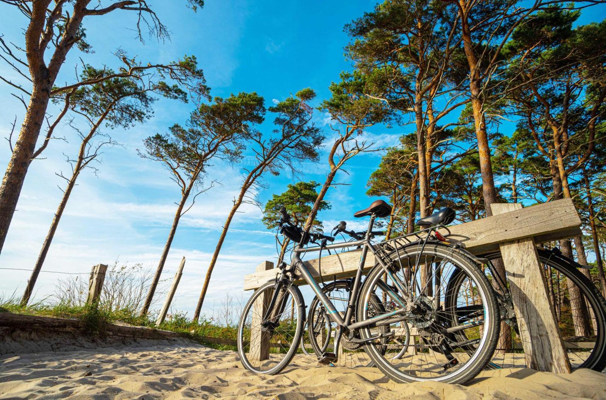 Strandhafer An Der Seebruecke Zingst Eksteriør bilde